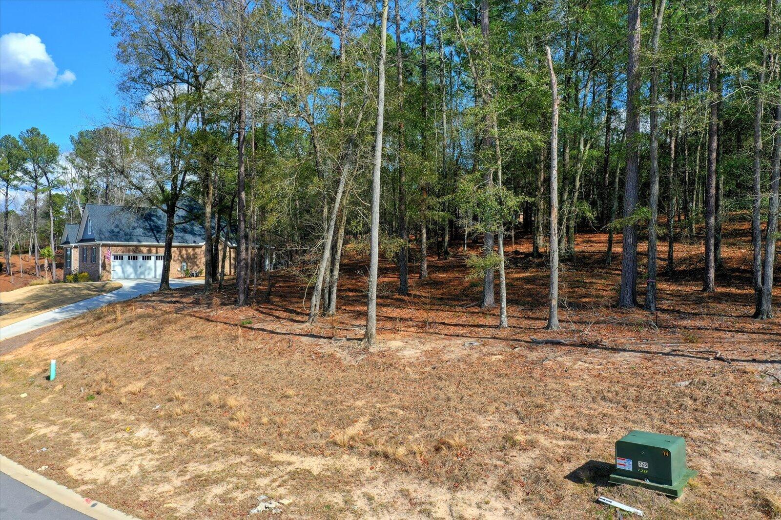 Lot 10 River Birch Road North Augusta, SC 29841 - Photo 3 of 18