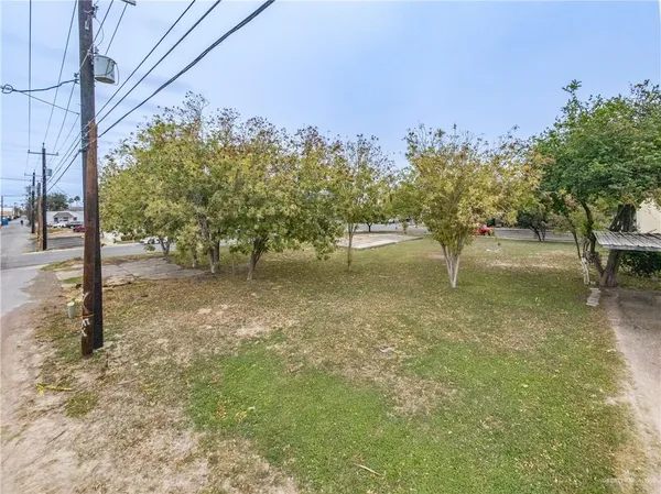 a view of a yard