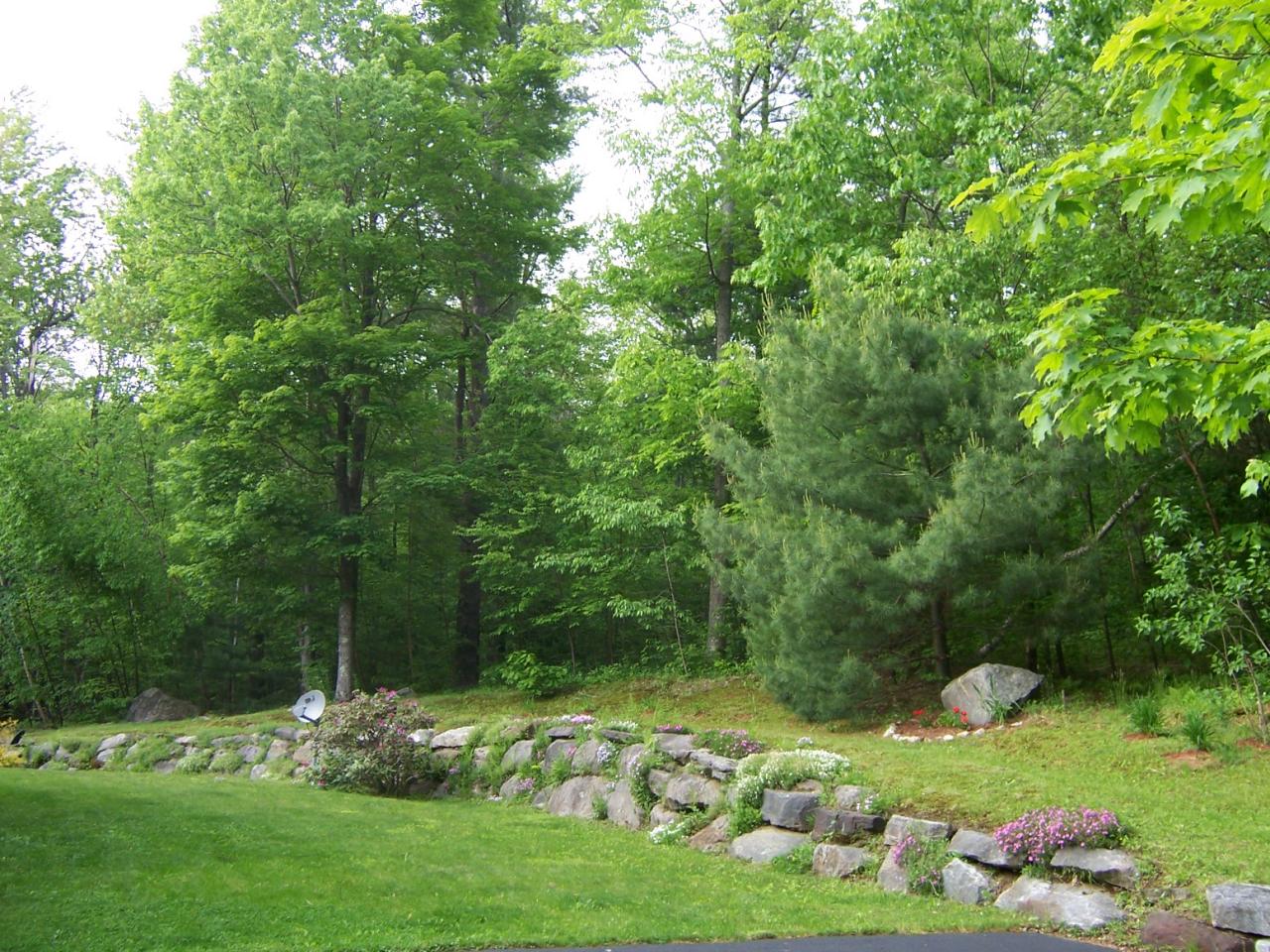 1304 George Carter Road Becket, MA 01223 - Photo 4 of 12 a garden with lots of trees