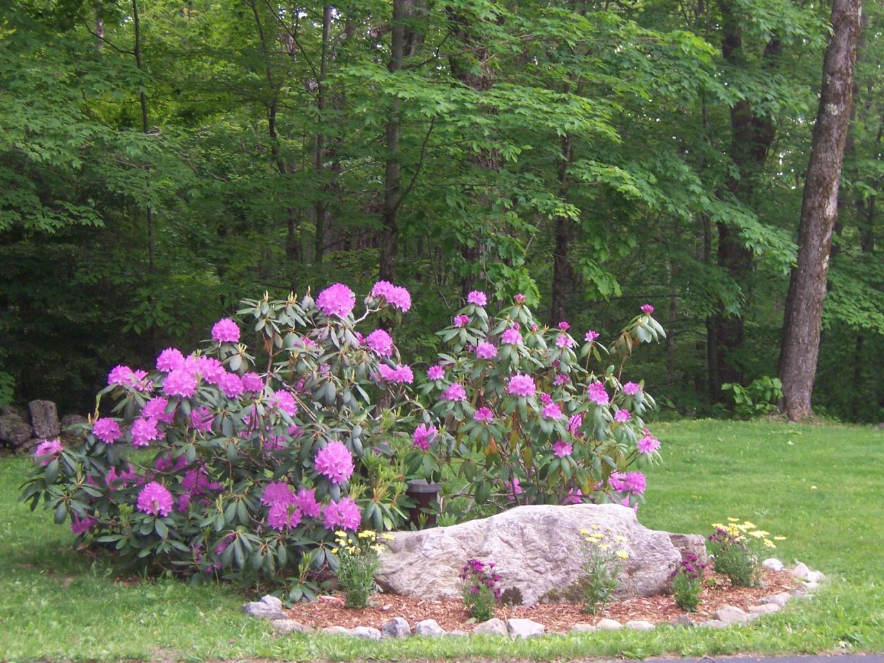 1304 George Carter Road Becket, MA 01223 - Photo 5 of 12 a view of a flower in a garden with sitting and flowers