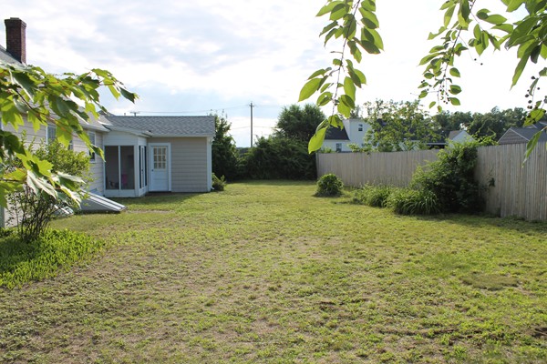 926 Plumtree Road Springfield, MA 01119 - Photo 21 of 21 a backyard of a house with plants and large tree