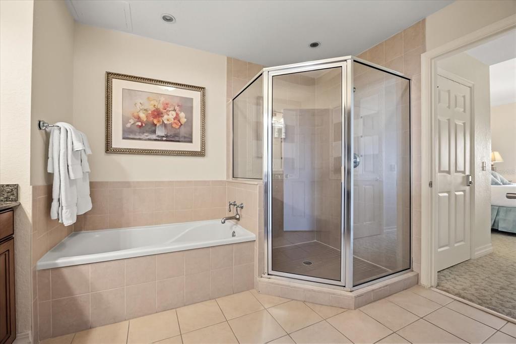 1114 Sunset View Circle, Unit 402 Reunion, FL 34747 - Photo 9 of 32 a bathroom with a shower and a bath tub