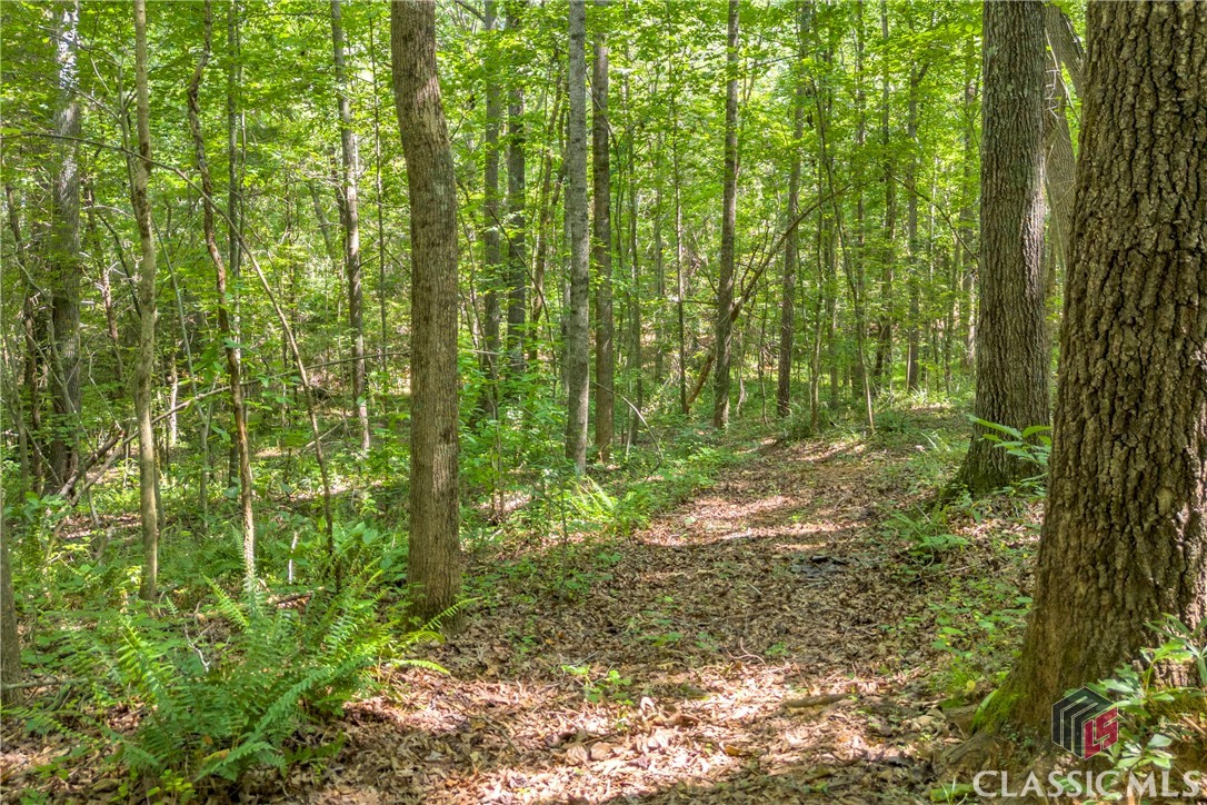 388 East Coker Road Homer, GA 30547 - Photo 41 of 52