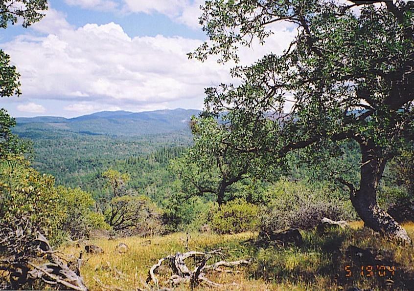 Hidden Springs Road Whitmore, CA 96096 - Photo 1 of 1 20040520210103867741000000-o