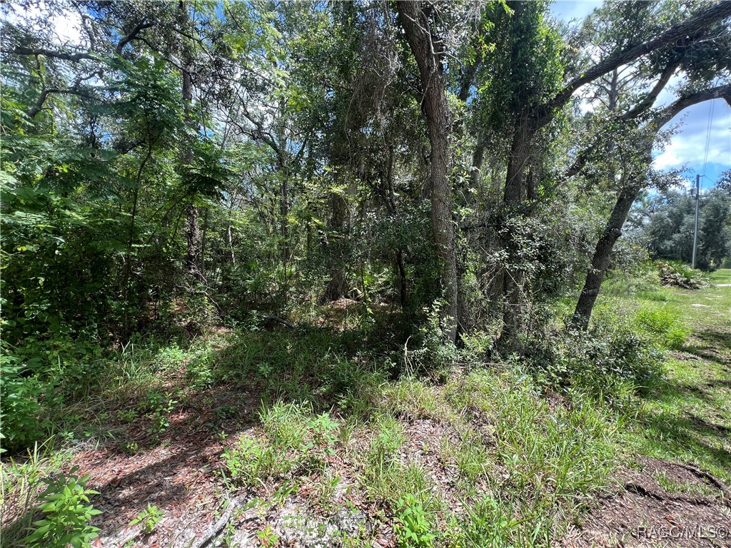 787 East Reehill Street Lecanto, FL 34461 - Photo 10 of 10 Front of lot