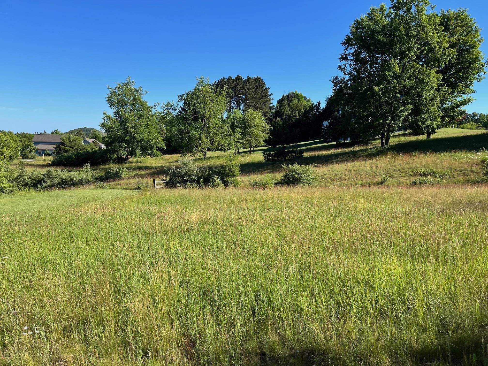 73 South Roen Drive, Unit LOT: 73 Empire, MI 49630 - Photo 7 of 12