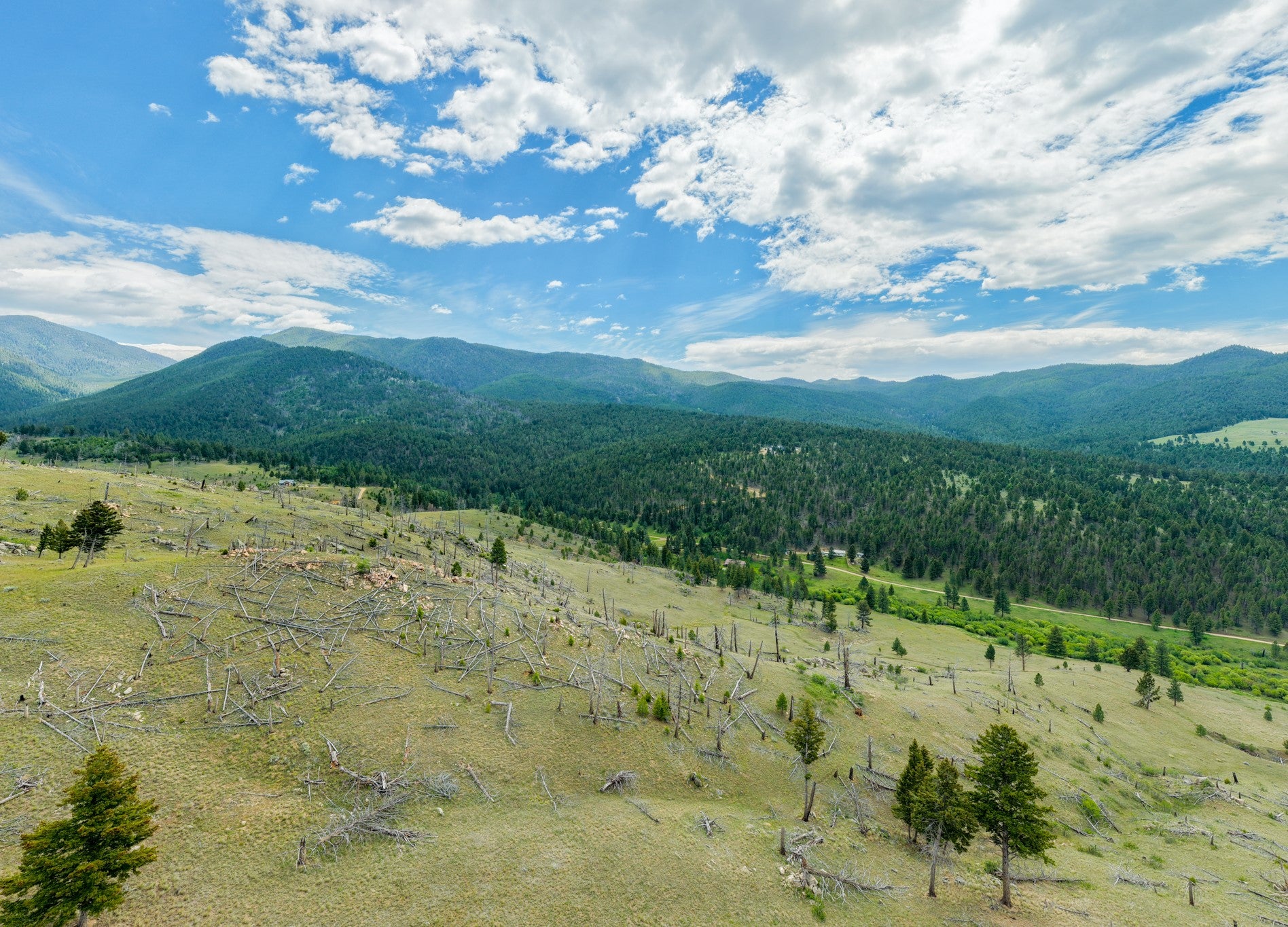 Lot 52 Aspen Valley Ranch Boulder, MT 59632 - Photo 14 of 21 Gallery Image 14