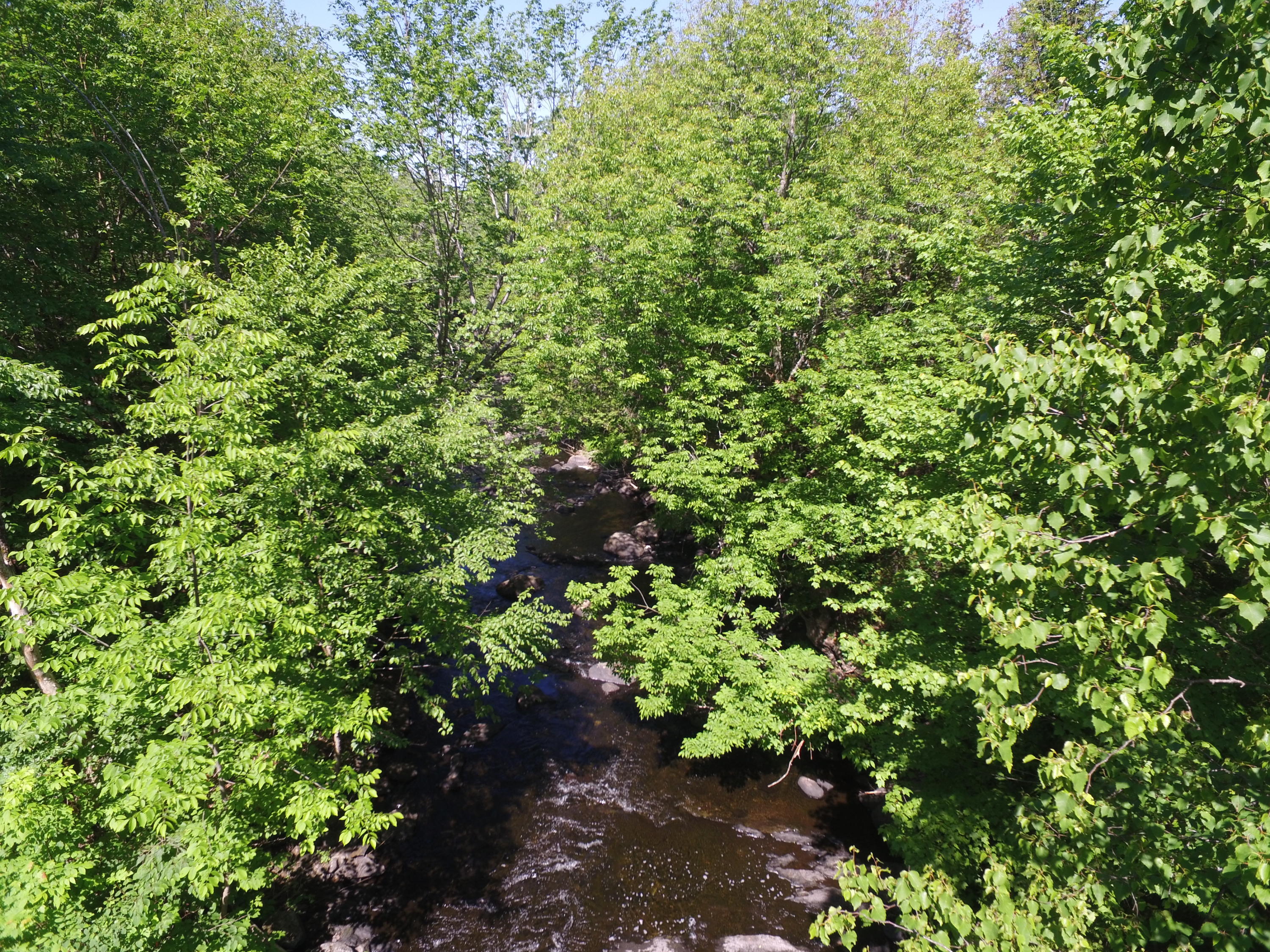 594 Mattakeunk Road Winn, ME 04495 - Photo 11 of 24 DJI_0120
