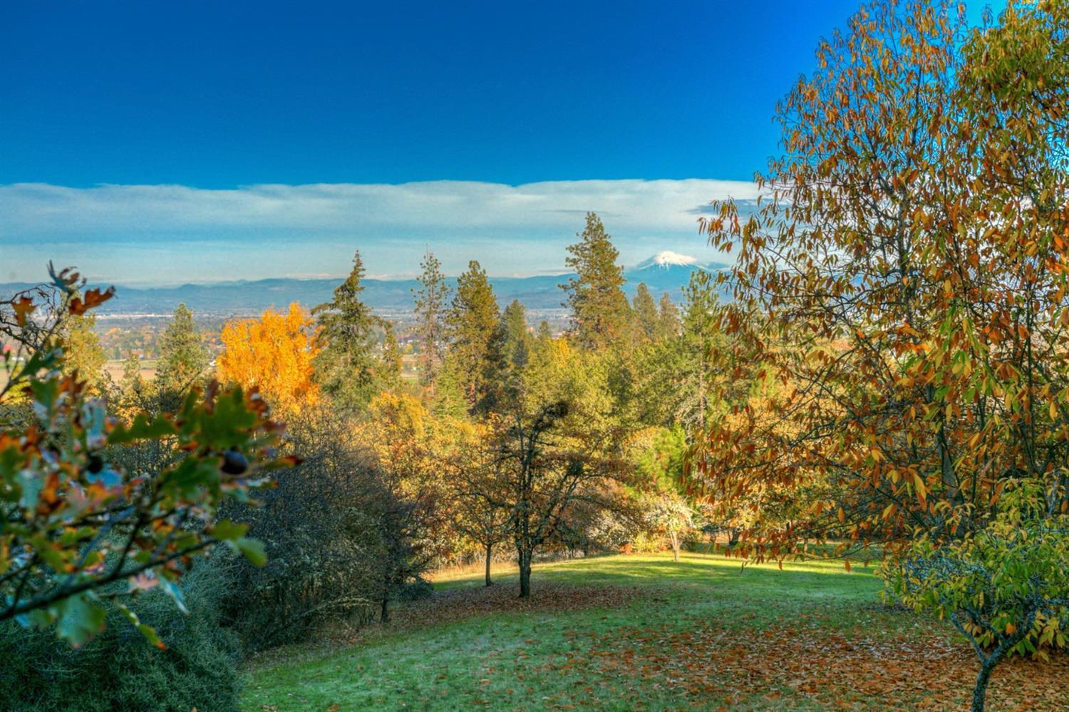 3771 Old Military Road Central Point, OR 97502 - Photo 10 of 19 a view of a yard with a tree