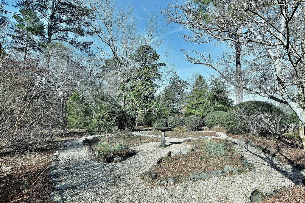 5124 Macon Road Columbus, GA 31907 - Photo 40 of 54 Grounds/garden area
