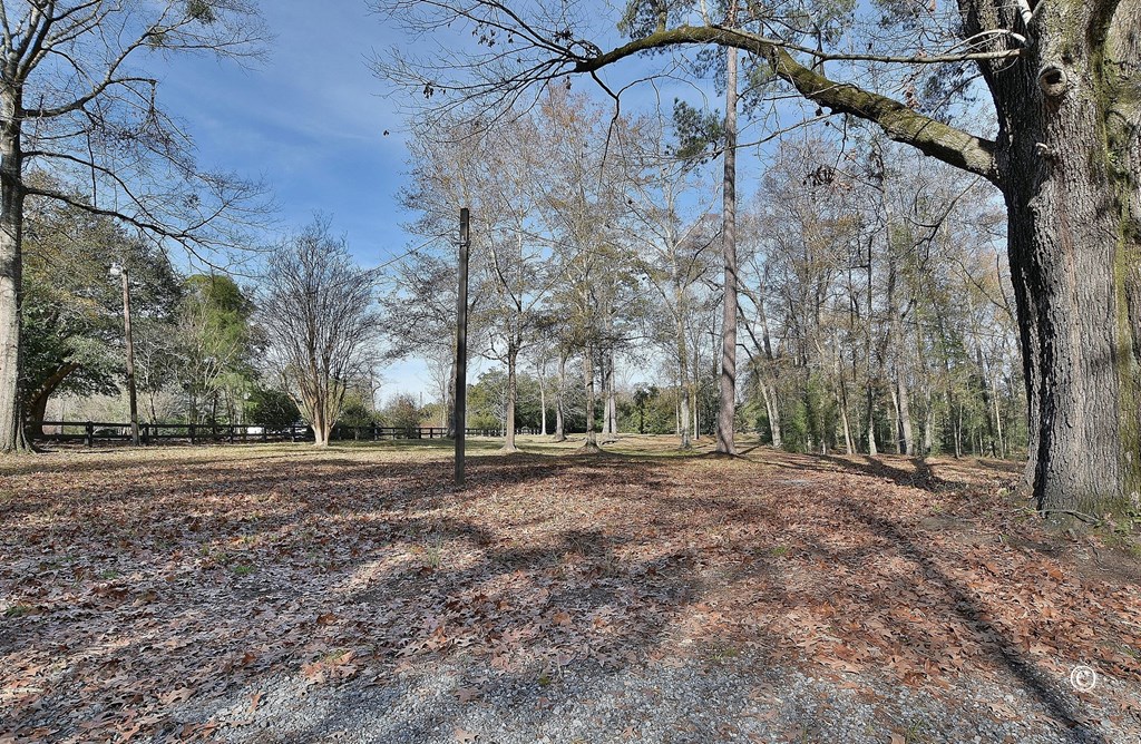 5124 Macon Road Columbus, GA 31907 - Photo 47 of 54 Grounds