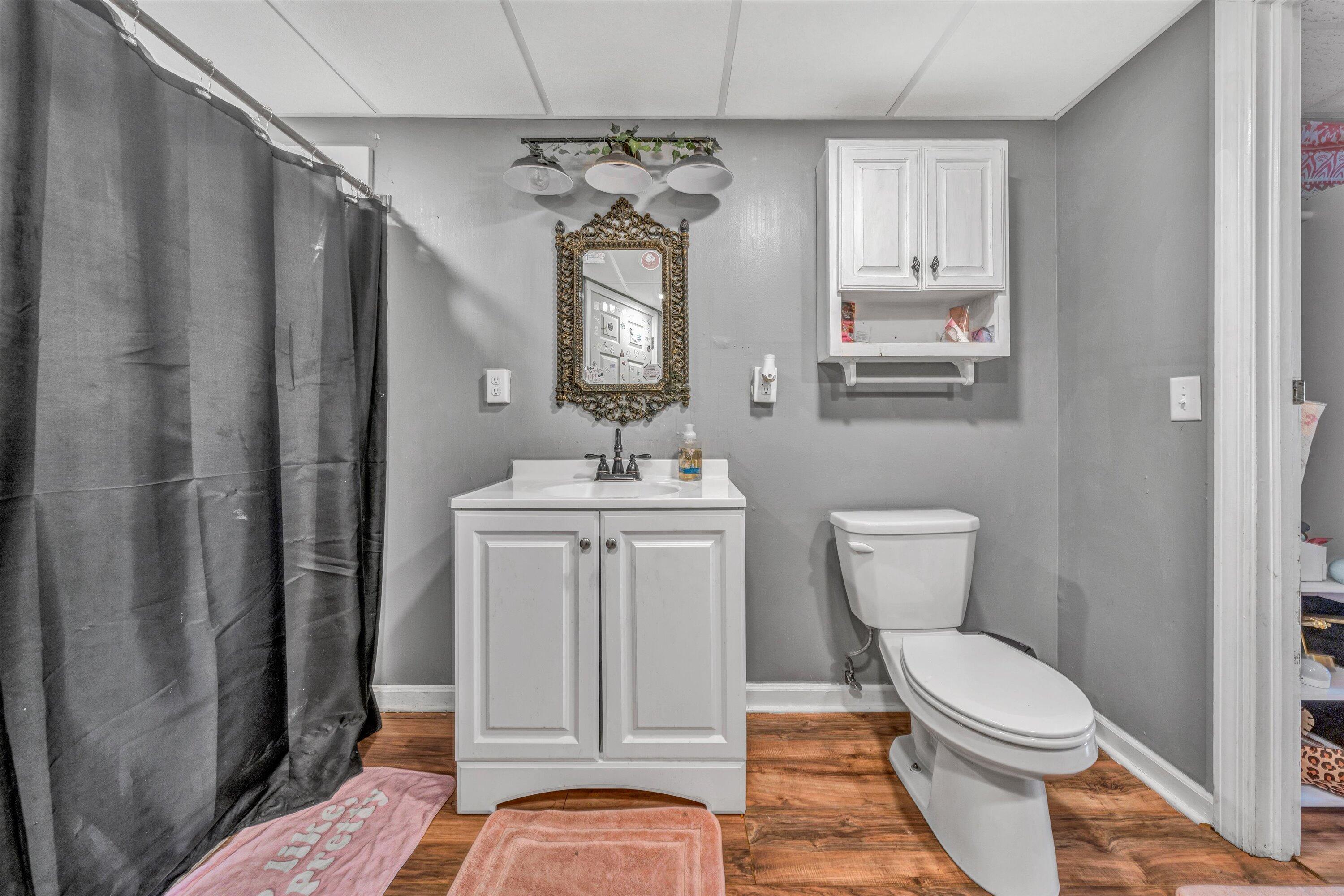 105 Cornell Road Rocky Mount, VA 24151 - Photo 23 of 34 a bathroom with a toilet a sink and a mirror