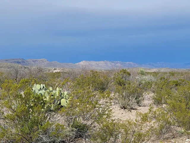 $795,000 | 48421 FM 2627 Highway, Alpine, TX 79830