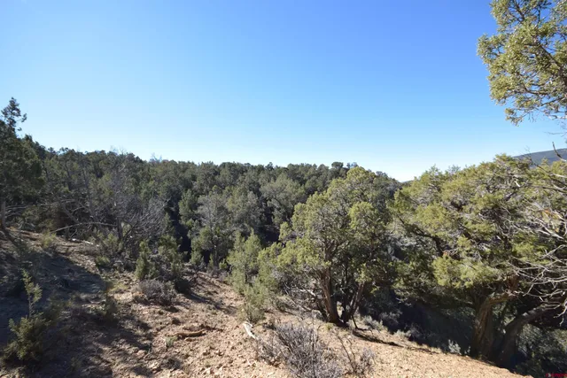 a view of a mountain range with trees in the background