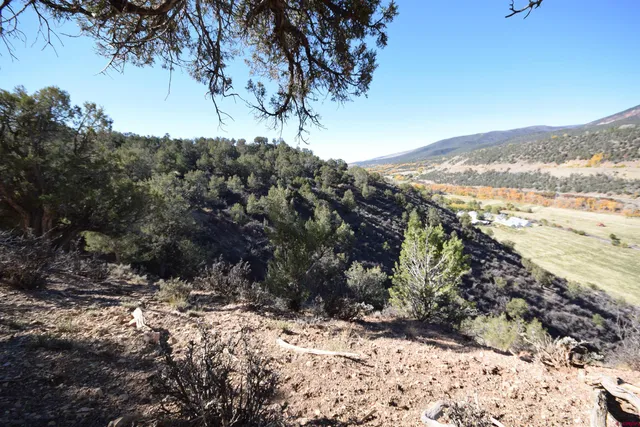 a view of a forest with mountains in the background