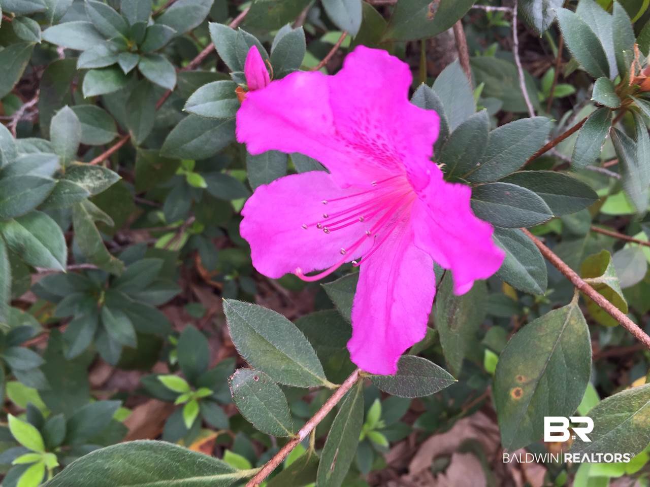 5780 Old Pascagoula Road Mobile, AL 36619 - Photo 10 of 15