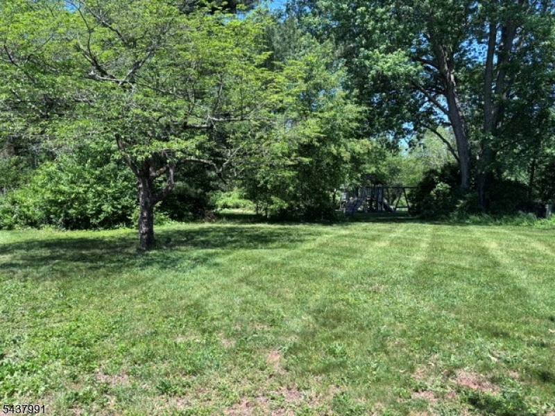 73 North Branch River Road Somerville, NJ 08876 - Photo 3 of 4