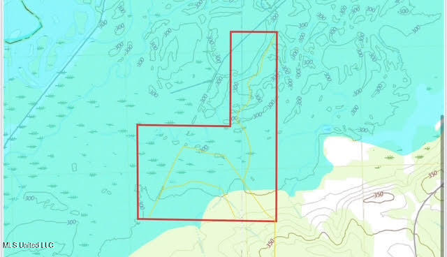 3 Highway 25 Golden, MS 38847 - Photo 11 of 39 105