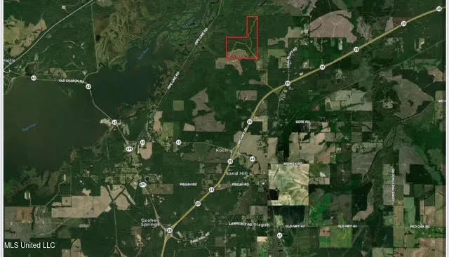 $923,000 | 3 Highway 25, Golden, MS 38847