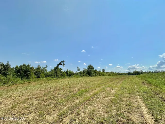 $923,000 | 3 Highway 25, Golden, MS 38847