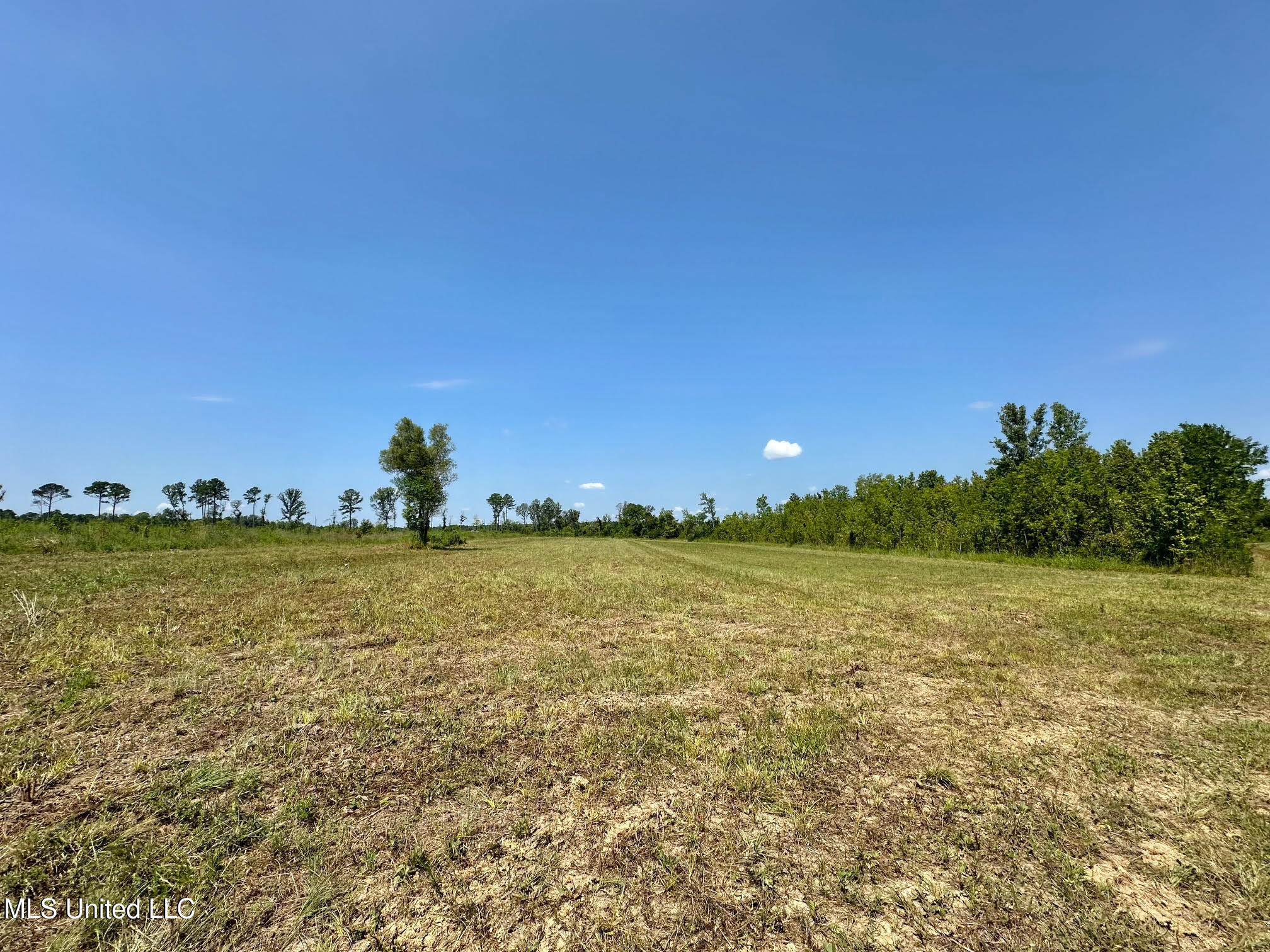 3 Highway 25 Golden, MS 38847 - Photo 17 of 39 121