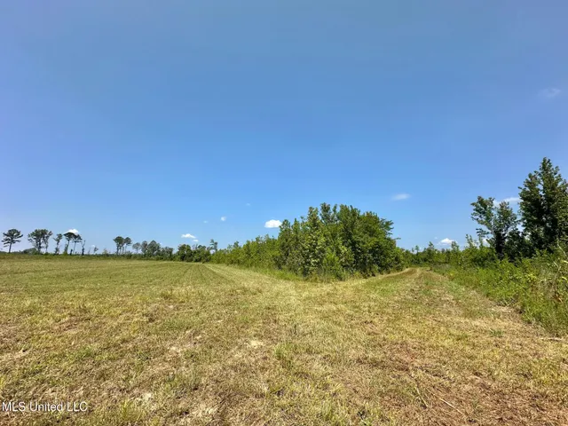 $923,000 | 3 Highway 25, Golden, MS 38847