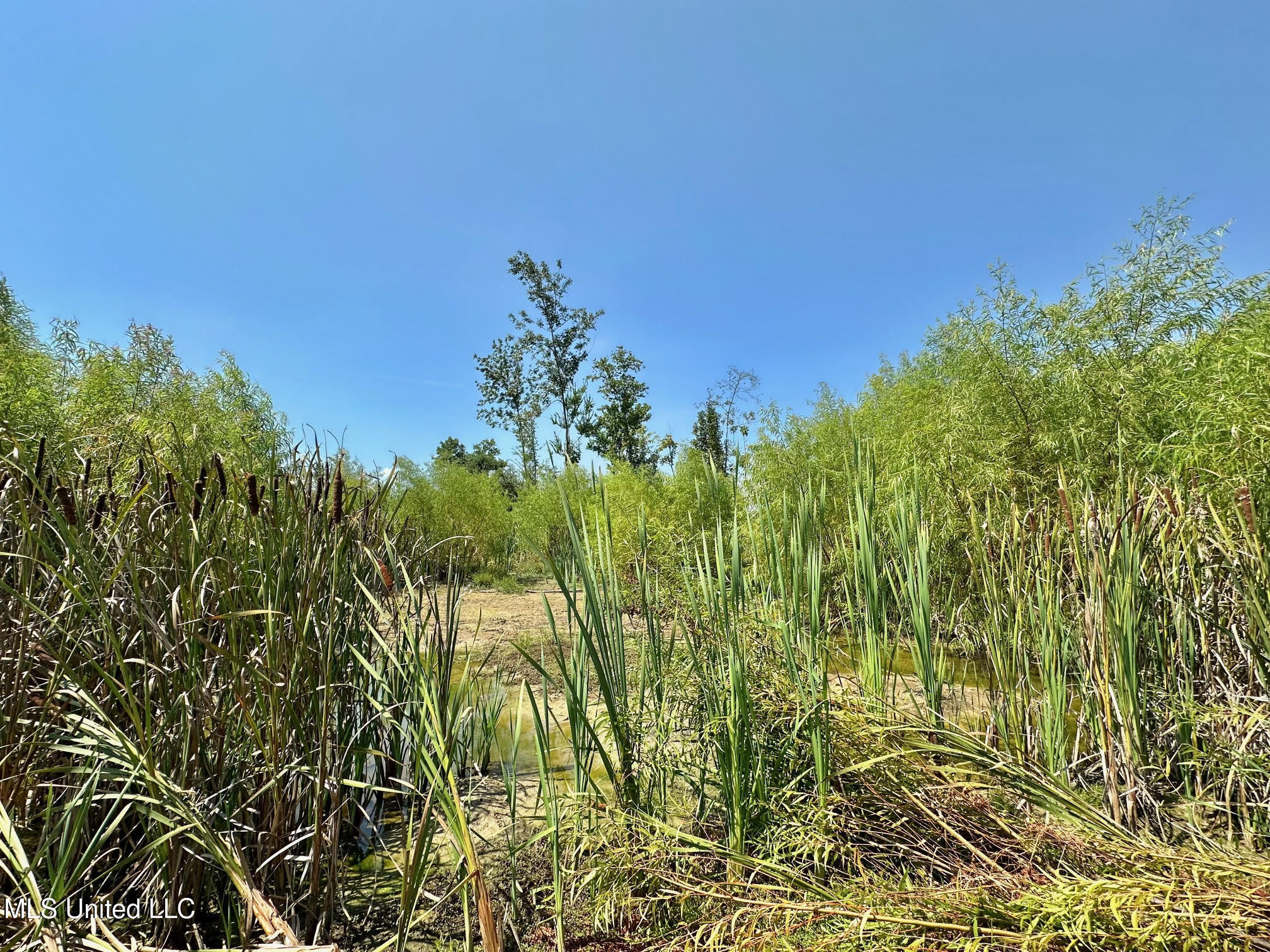 3 Highway 25 Golden, MS 38847 - Photo 19 of 39 123