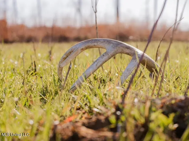 $923,000 | 3 Highway 25, Golden, MS 38847