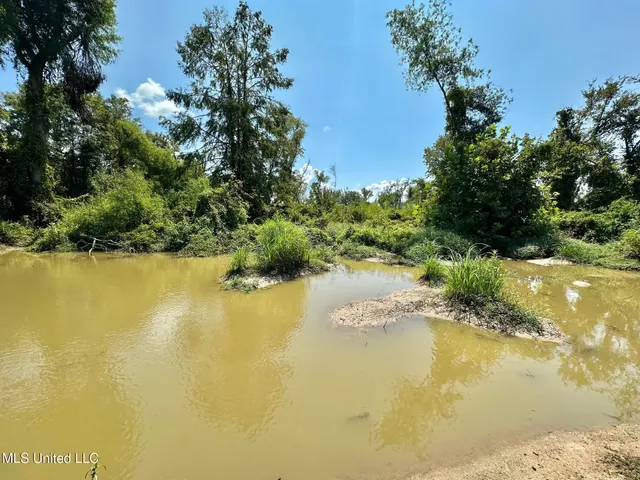 $923,000 | 3 Highway 25, Golden, MS 38847