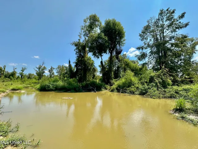 $923,000 | 3 Highway 25, Golden, MS 38847