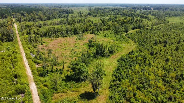 $923,000 | 3 Highway 25, Golden, MS 38847