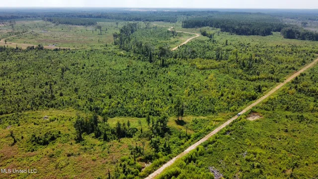 $923,000 | 3 Highway 25, Golden, MS 38847