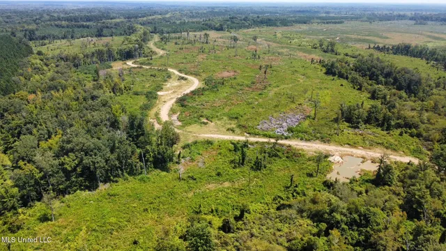 $923,000 | 3 Highway 25, Golden, MS 38847