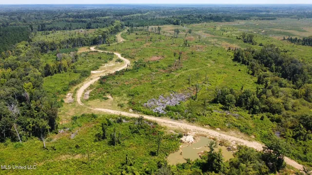 $923,000 | 3 Highway 25, Golden, MS 38847