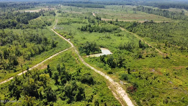 $923,000 | 3 Highway 25, Golden, MS 38847