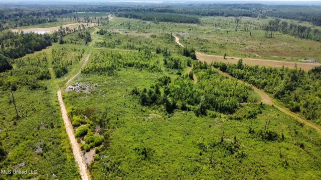 $923,000 | 3 Highway 25, Golden, MS 38847