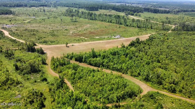 $923,000 | 3 Highway 25, Golden, MS 38847