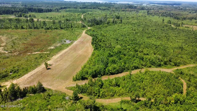 $923,000 | 3 Highway 25, Golden, MS 38847