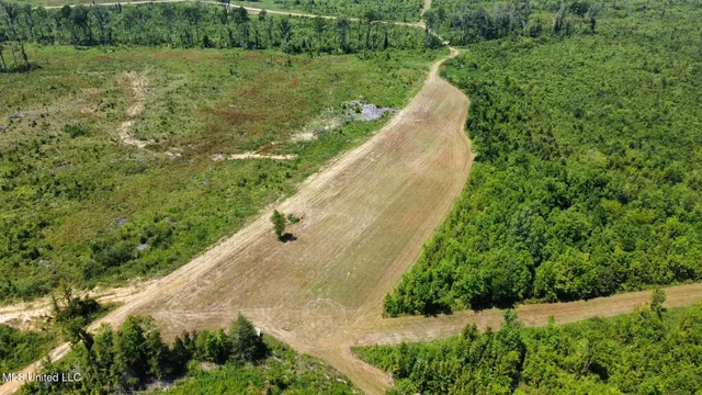 $923,000 | 3 Highway 25, Golden, MS 38847