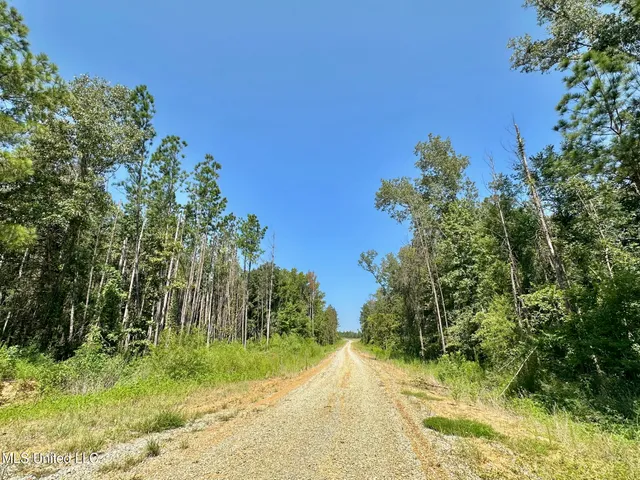 $923,000 | 3 Highway 25, Golden, MS 38847