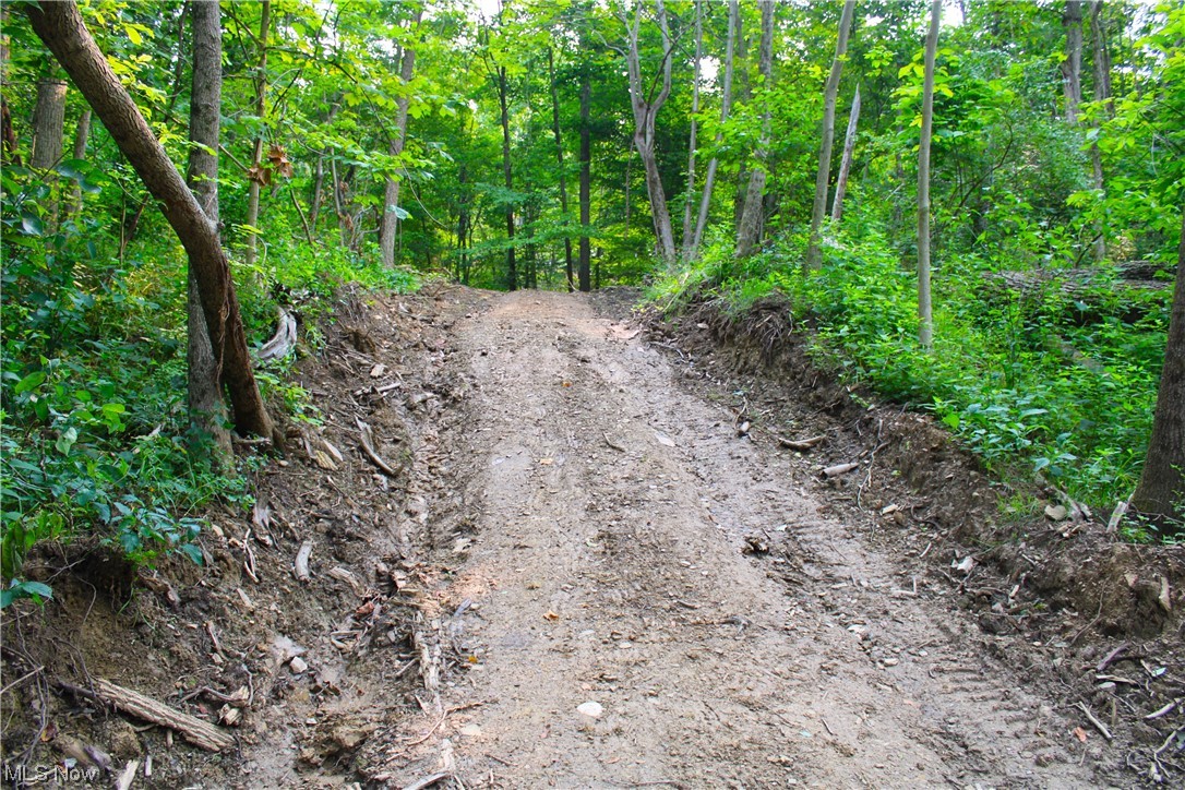 Sycamore Road Quaker City, OH 43773 - Photo 11 of 27