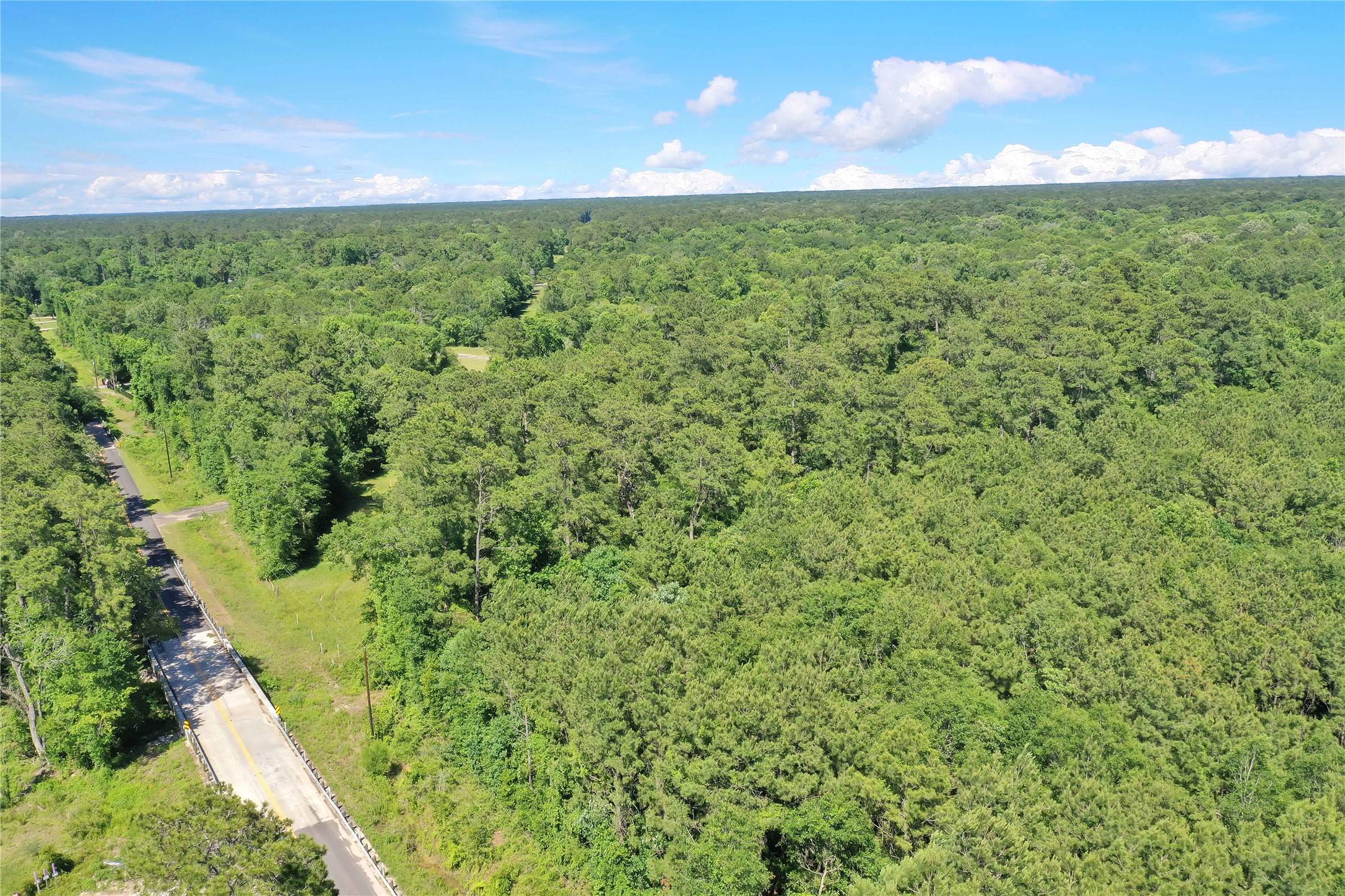 Tbd Hueni Road Porter, TX 77365 - Photo 12 of 19