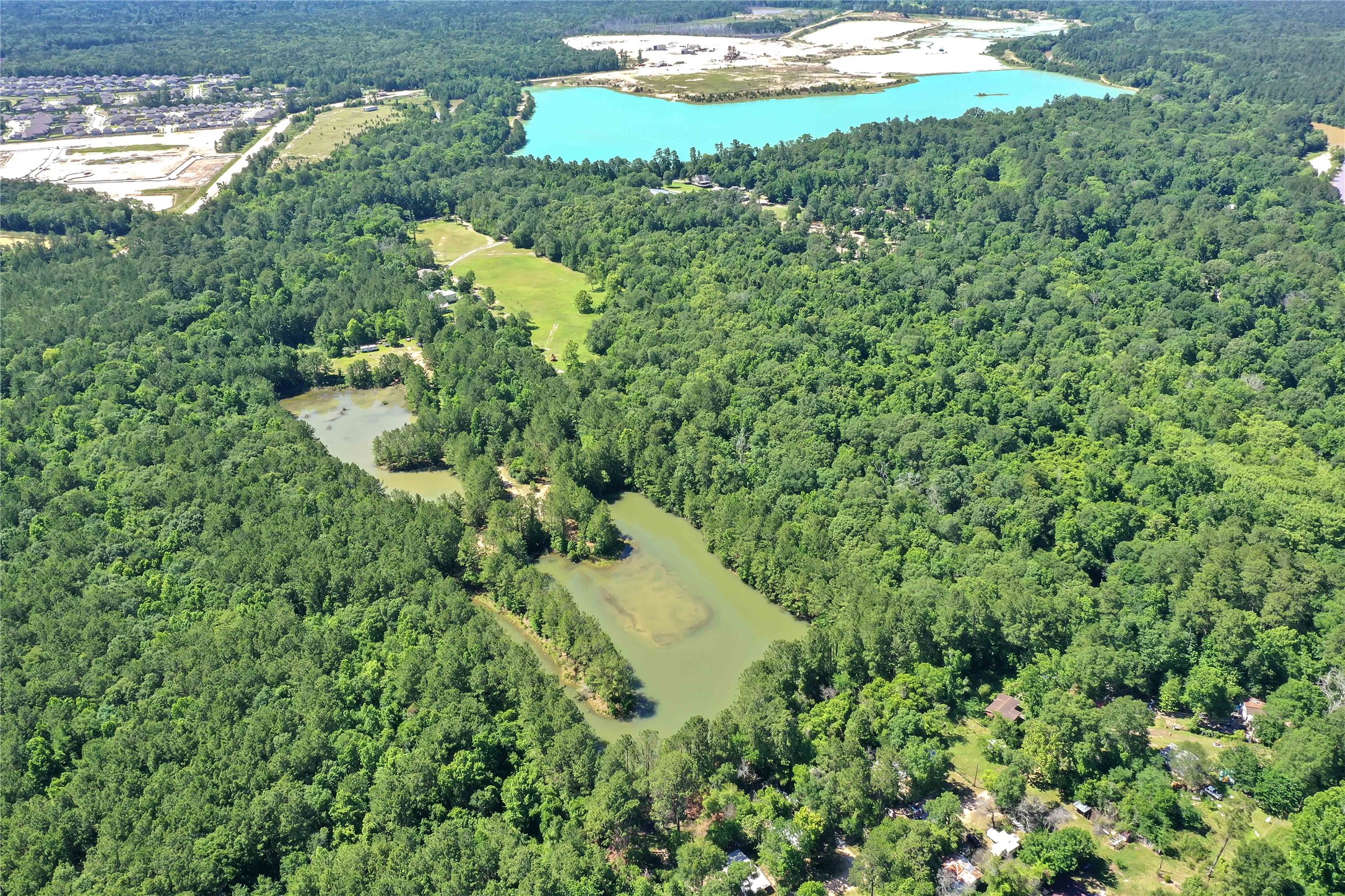 Tbd Hueni Road Porter, TX 77365 - Photo 6 of 19 a view of a garden with a tree