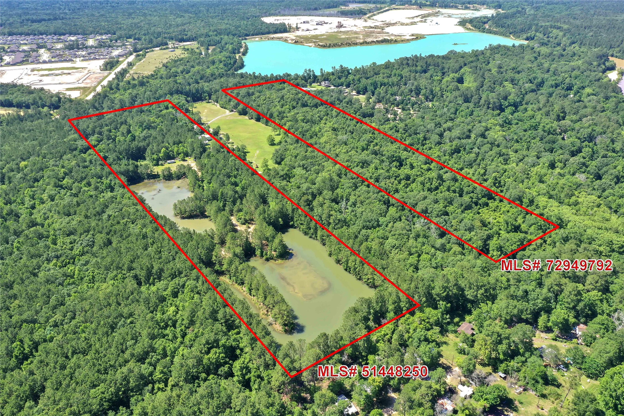 Tbd Hueni Road Porter, TX 77365 - Photo 7 of 19 a view of a yard with plants