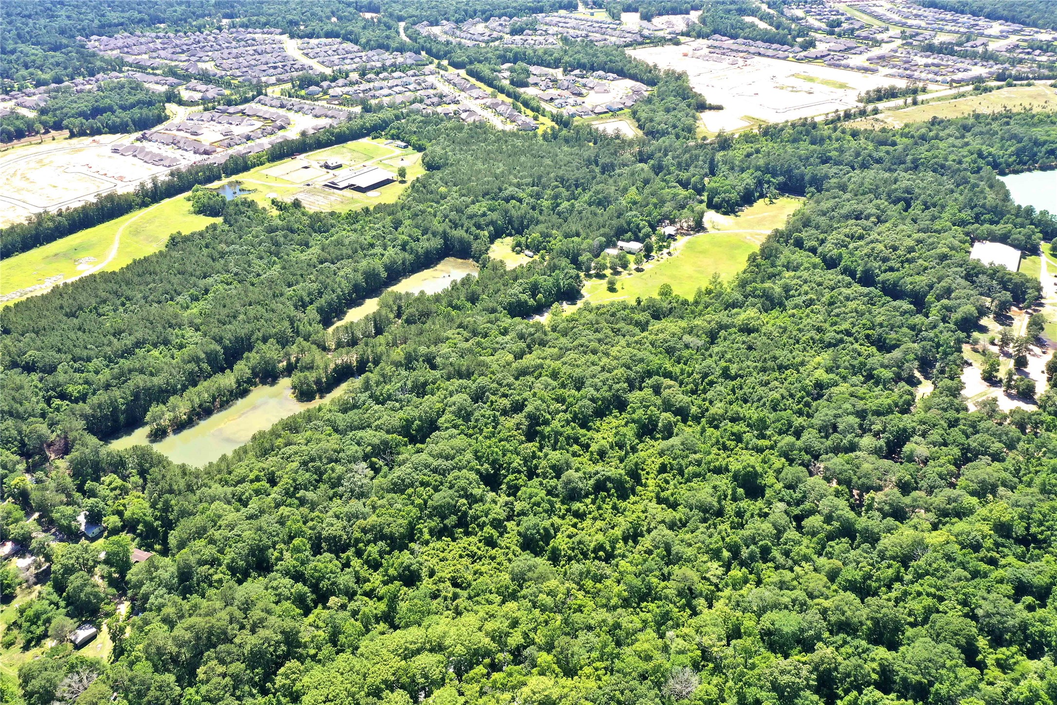 Tbd Hueni Road Porter, TX 77365 - Photo 8 of 19 a view of a garden with plants