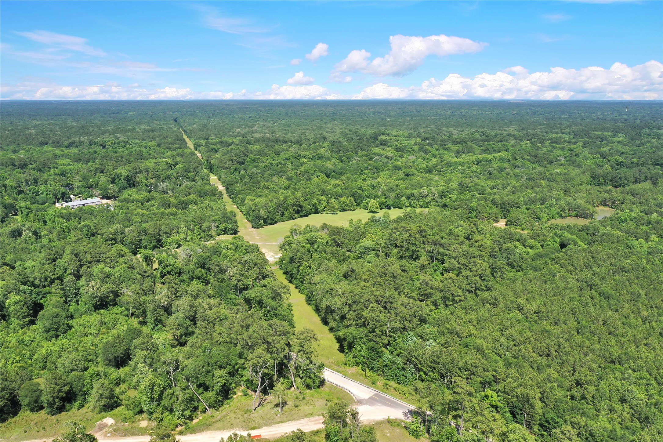 Tbd Hueni Road Porter, TX 77365 - Photo 10 of 19 a view of a yard