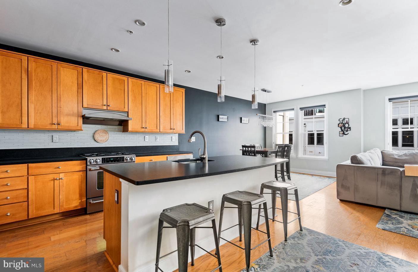 1418 North Rhodes Street, Unit B426 Arlington, VA 22209 - Photo 2 of 36 Gourmet Kitchen with island