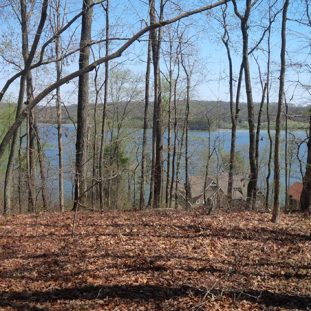 Reuben Ridge Lot# 207