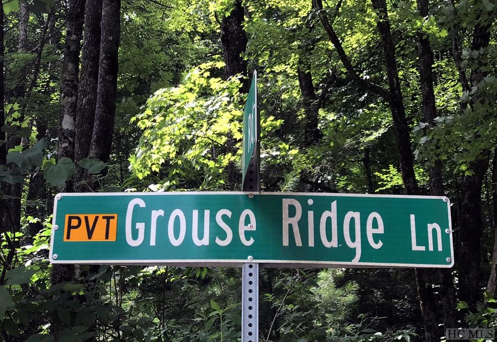 Lot 2 Grouse Ridge Lane Brevard, NC 28712 - Photo 2 of 10 Gallery Image 2