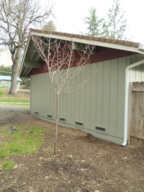540 Upper Applegate Road Jacksonville, OR 97530 - Photo 25 of 25 Additional Photo